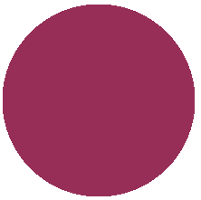 257 Plum sorbet/Сливовый щербет