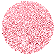 0016
