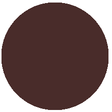 205 Коричневый/dark brown