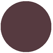 008 Brunette/ брюнет