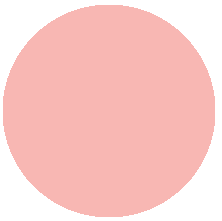 238 Tea rose/Чайная роза