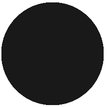 252 Black/Чёрный