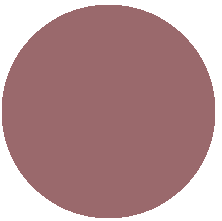 тон 510 Classic nude/Классический нюд