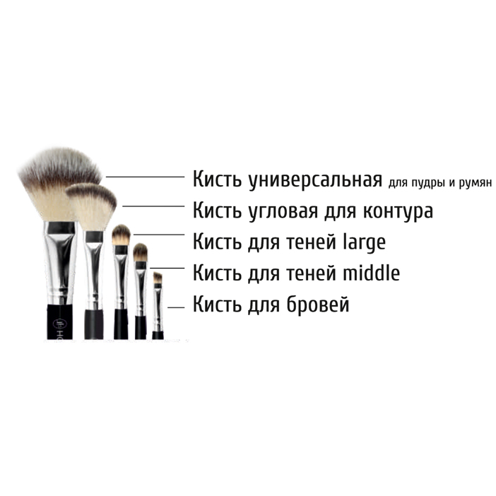 НАБОР КИСТЕЙ для макияжа TOTAL BEAUTY SET 5 кистей