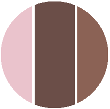 306 Hazelnut/Лесной орех