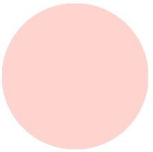 206 Dusty rose/Пыльная роза