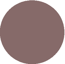 157 Bronzed Taupe/Бронзовый тейп