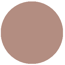 009 Camel brown/ коричневая карамель