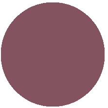 тон 513 Perfect nude/Превосходный нюд