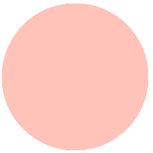 205 Ash rose/Пепельная роза