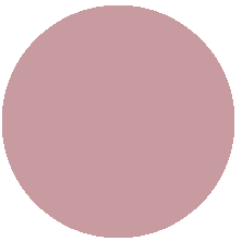 тон 505 Stylish nude/Стильный нюд