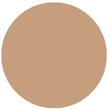 007 Caramel/ цвет жженого сахара