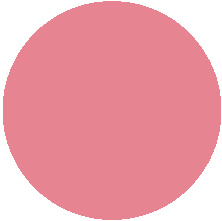 12 Timid blush/Робкий румянец