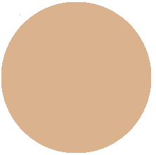 25 GOLDEN BEIGE/ЗОЛОТИСТЫЙ БЕЖ